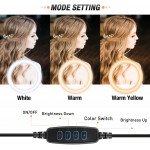 Wholesale 10 inch Selfie Ring Light with Cell Phone Holder for Live Stream, Makeup, YouTube Video, Photography TikTok, & More Compatible with Universal Phone (No Stand) (Black)